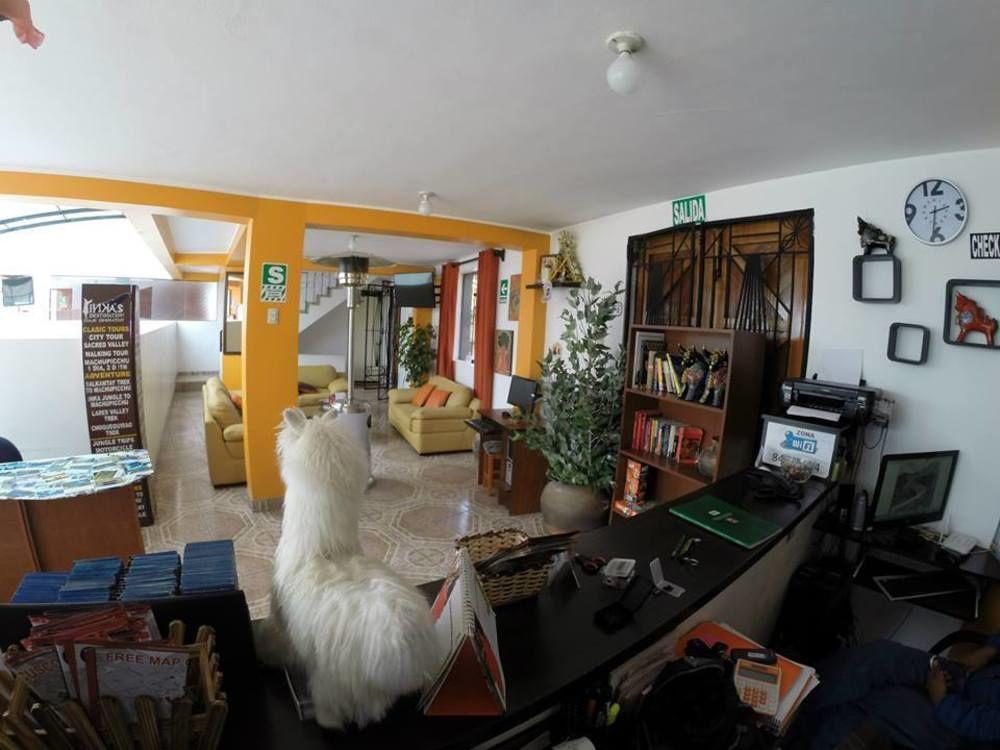 Cuscopackers Hostels Екстер'єр фото
